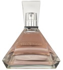 Possibilities Ann Taylor