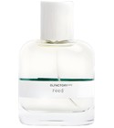 Reed Olfactory NYC