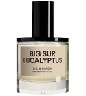 Big Sur Eucalyptus DS&Durga
