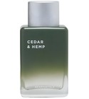 Cedar & Hemp Aéropostale