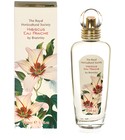 Hibiscus Eau Fraiche Bronnley