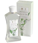 Lily of the Valley Bronnley