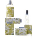 Wild Ginger Thymes