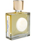 Leather Forever The Greek Perfumer