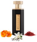 Reef 31 Reef Perfumes