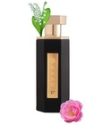 Reef 27 Reef Perfumes