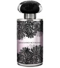 Lace Couture Ermanno Scervino