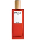 Solo Vulcan Loewe