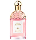 parfém Aqua Allegoria Florabloom