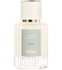 Magnolia Alba Chloé perfume - a fragrance for women 2019