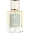 Immortelle Chloé