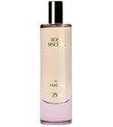 Rose Sincère Zara