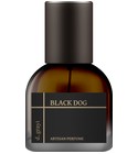 Black Dog d.grayi