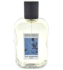 parfém Licorice Lavandula