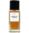 parfém Bombe de Mimosa