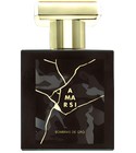 Sombras De Oro Amarsi Fragrances