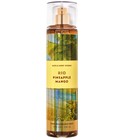 Rio Pineapple Mango Bath & Body Works