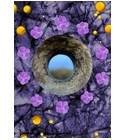 Crown Of Violets ånd fragrances