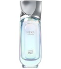 Nexa Immortal Rue Broca