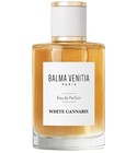 White Cannabis Balma Venitia