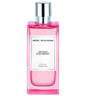 Citrusy Magnolia Angel Schlesser