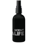 SCENT Norma Kamali