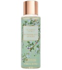 Wonderland Woods 2023 Victoria's Secret