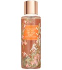 parfém Nectar Drip