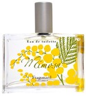Mimosa Fragonard