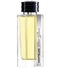 Vetiver Glacier Montblanc