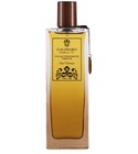 parfém Oud Intense