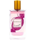 Gourmandise Les Essentiels