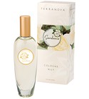 Gardenia TerraNova