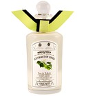 Extract of Limes Penhaligon's