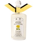 parfém Eau de Verveine