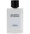 Bromélia Botanicus Aquarela do Brasil