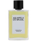Orquídea Vanilla Aquarela do Brasil