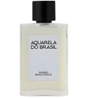 Bambu Brasiliensis Aquarela do Brasil