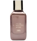 Fields at Nightfall Intense 2024 Zara