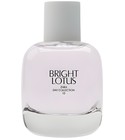 Bright Lotus Zara