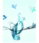 L'Eau du Temps Nina Ricci