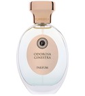 parfém Odorosa Ginestra