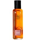 Tuberosa Ambrata Erbario Toscano