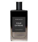 Figue Extreme Marcoccia