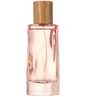 Miss Cha-Cha Lonkoom Parfum