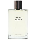 Silver Absolute Zara