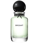 parfém Brizant