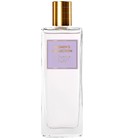 Charming Violet Oriflame