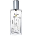 Summer Harvest Burren Perfumery