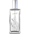 Spring Harvest Burren Perfumery